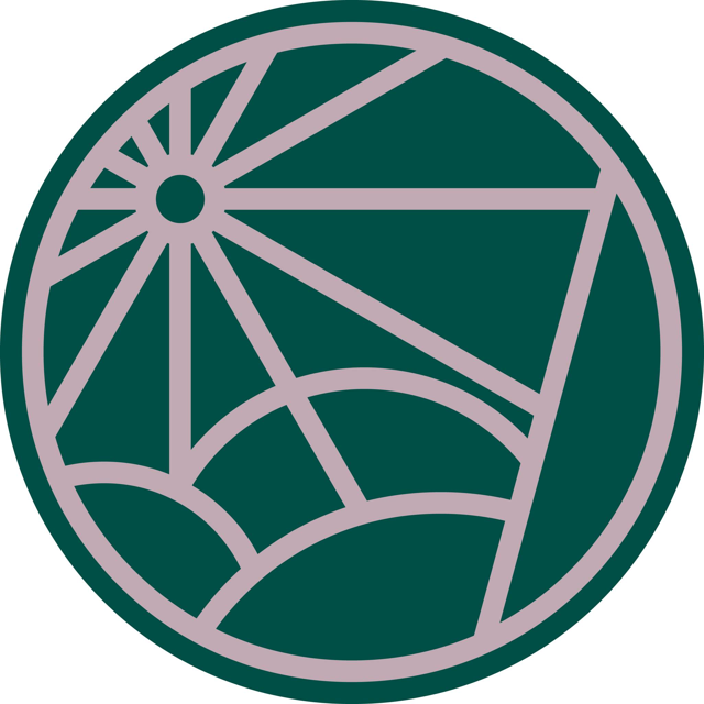 Steershop logo