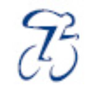 WTC Westervoort  logo