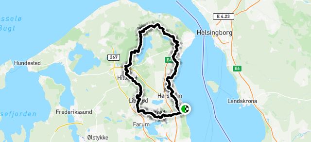 Ride image for Mammutmarch København 2026 / 100km